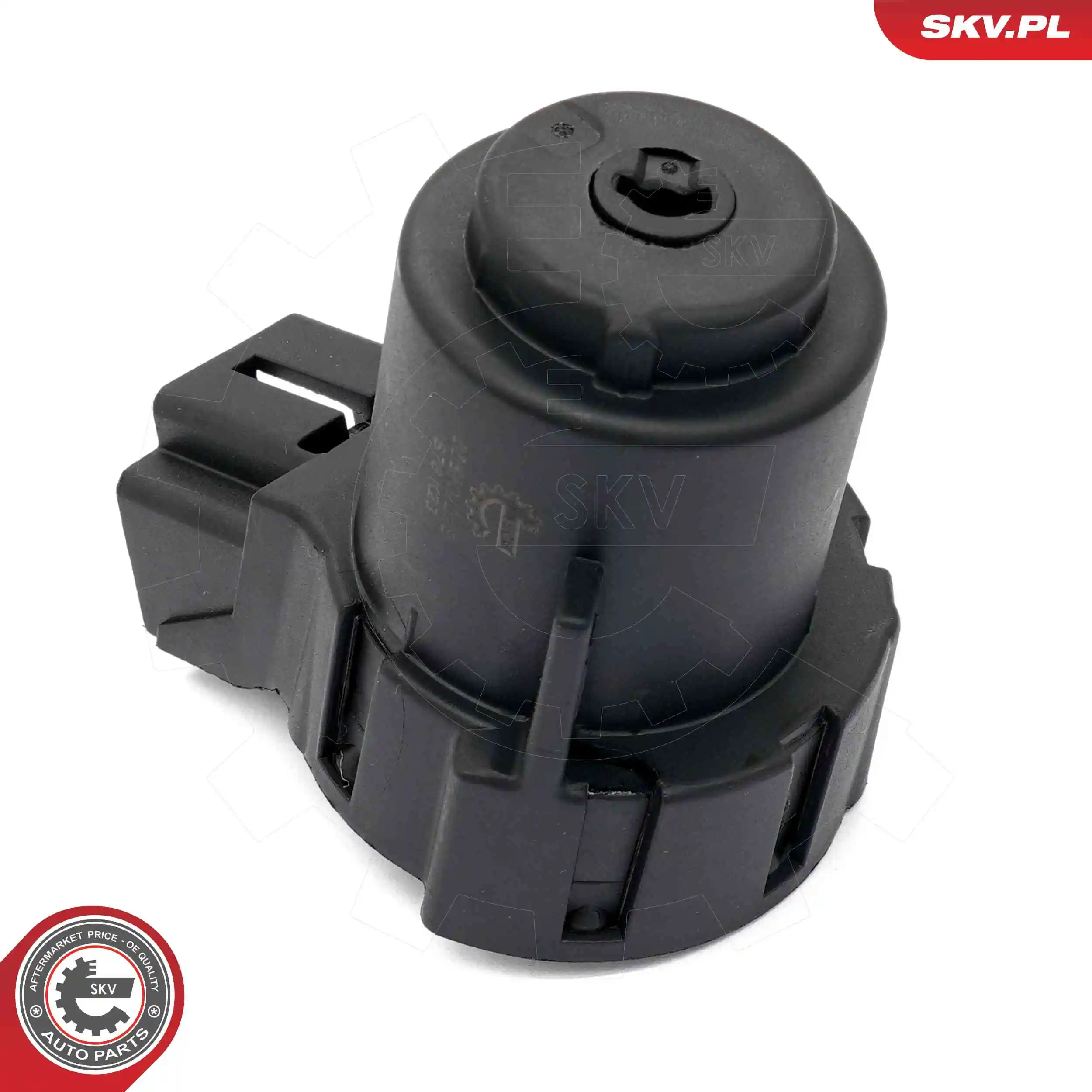 Ignition Switch 65SKV018