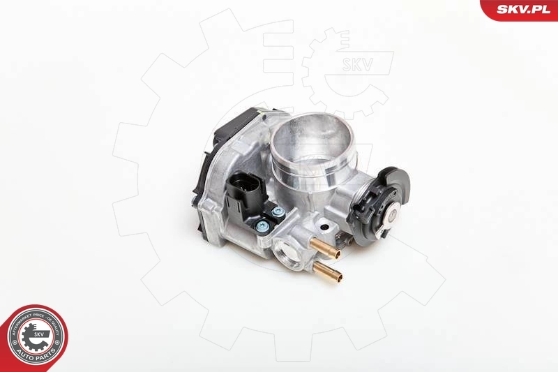 Throttle Body 12SKV026