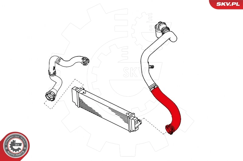 Charge Air Hose 43SKV014
