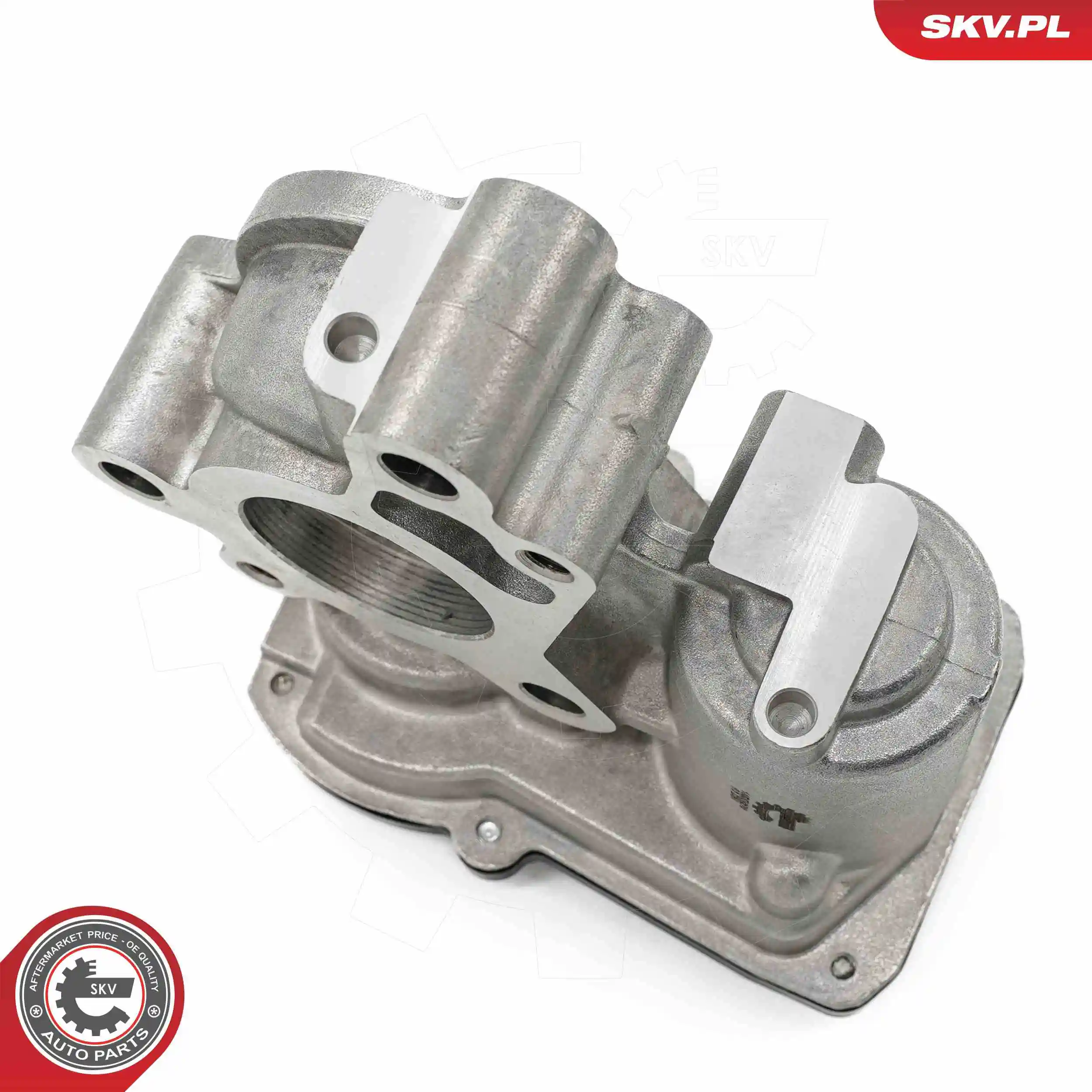 ESEN SKV 14SKV276 EGR Valve