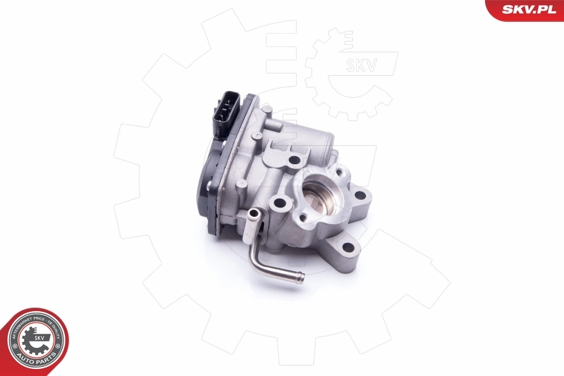 EGR Valve 14SKV189
