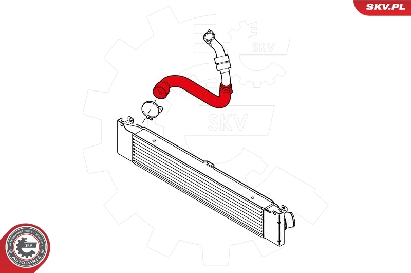 Charge Air Hose 43SKV154