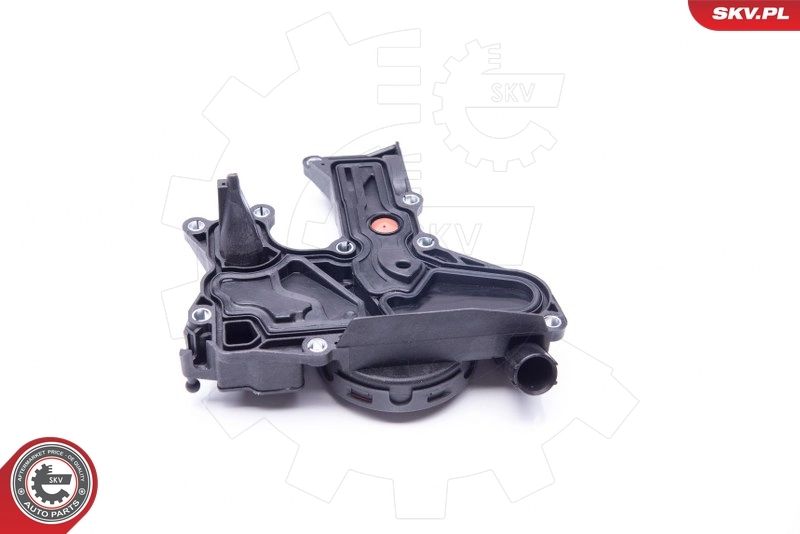 Repair Kit, crankcase ventilation 31SKV008