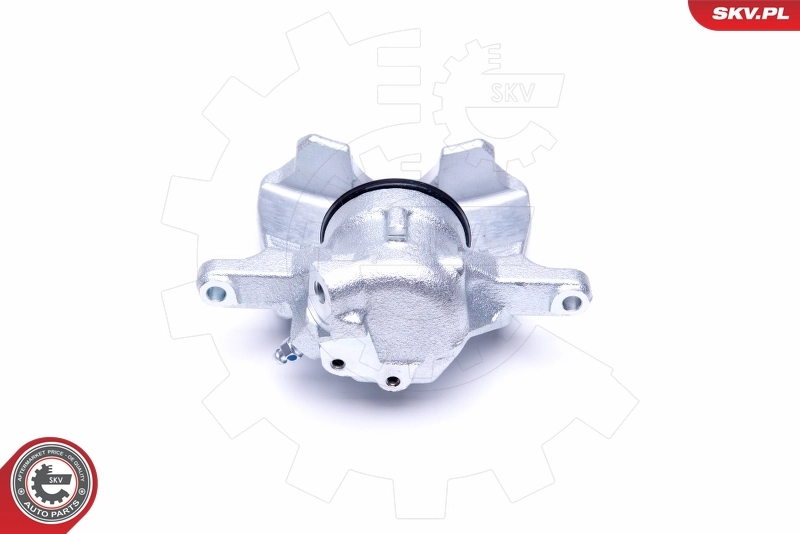 Brake Caliper 50SKV332
