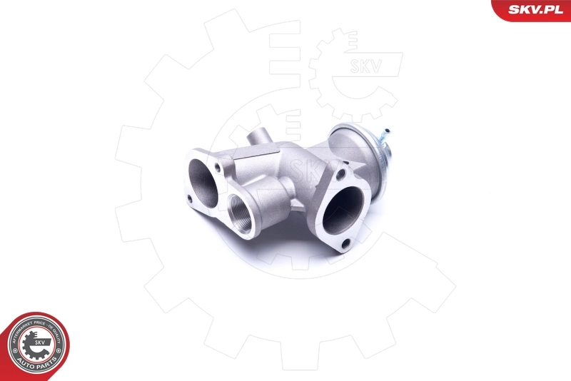 EGR Valve 14SKV180