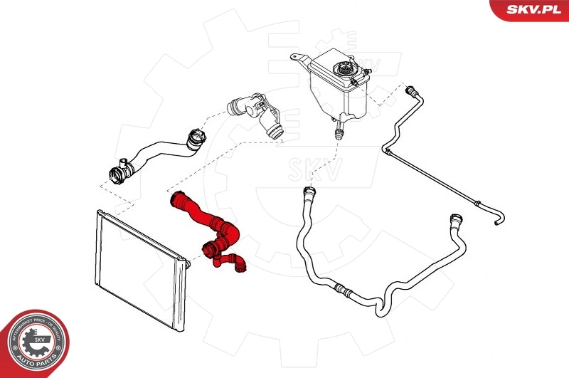 Radiator Hose 43SKV708