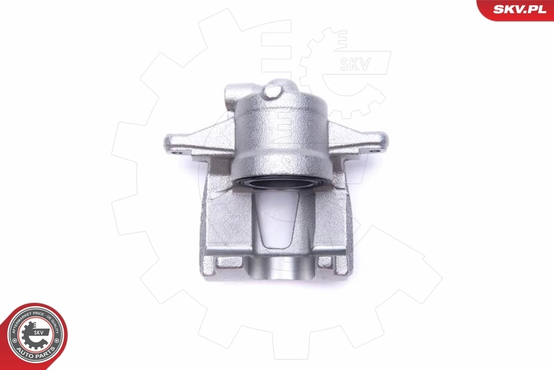 Brake Caliper 55SKV911
