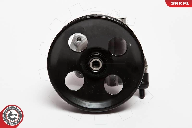 Hydraulic Pump, steering 10SKV006