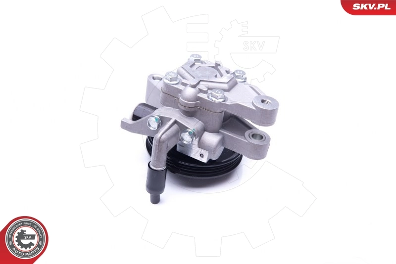 Hydraulic Pump, steering 10SKV262