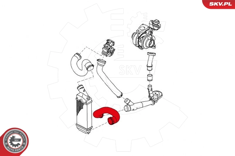 Charge Air Hose 43SKV003