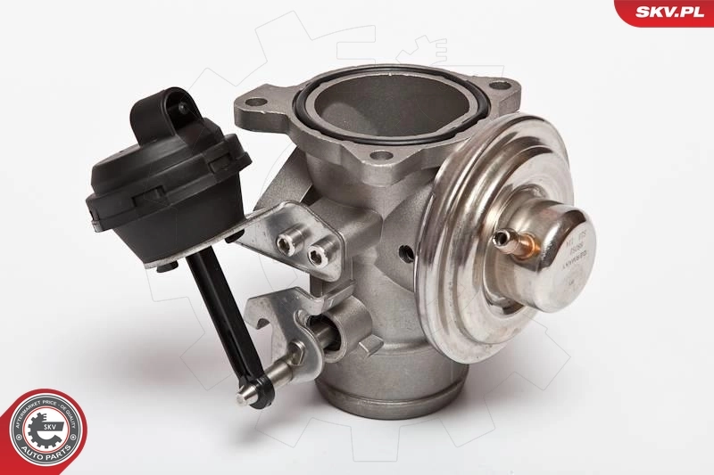 EGR Valve 14SKV020