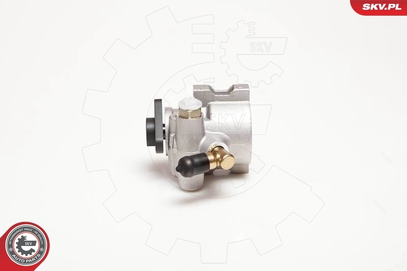 Hydraulic Pump, steering 10SKV053