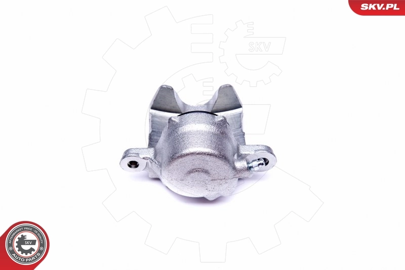 Brake Caliper 42SKV142