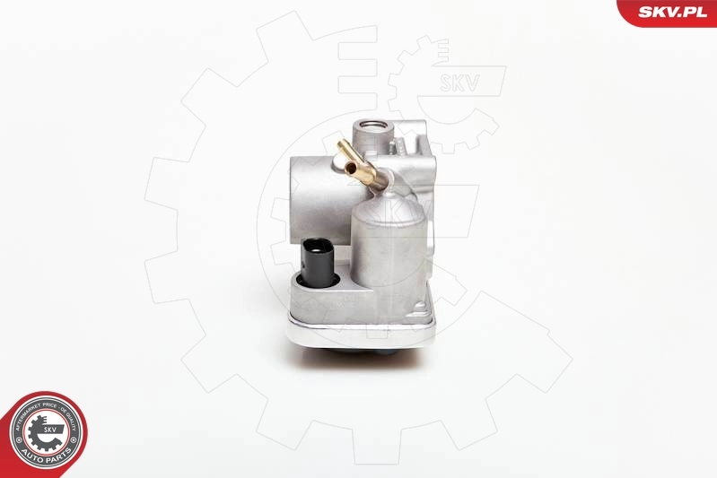 Throttle Body 12SKV028