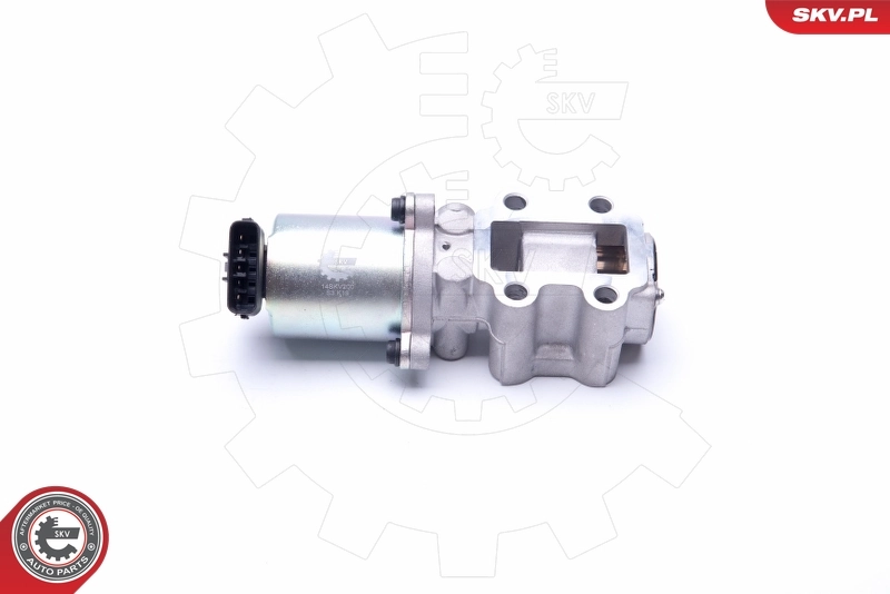 EGR Valve 14SKV200