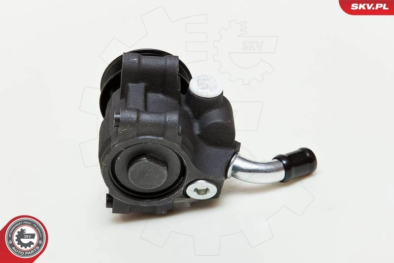 Hydraulic Pump, steering 10SKV035