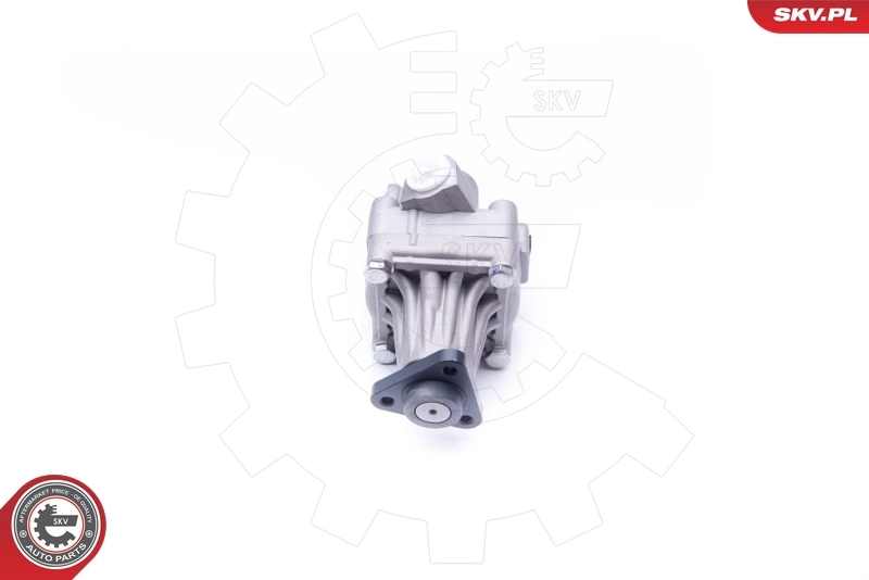 Hydraulic Pump, steering 10SKV245