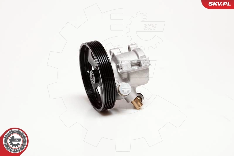 Hydraulic Pump, steering 10SKV086