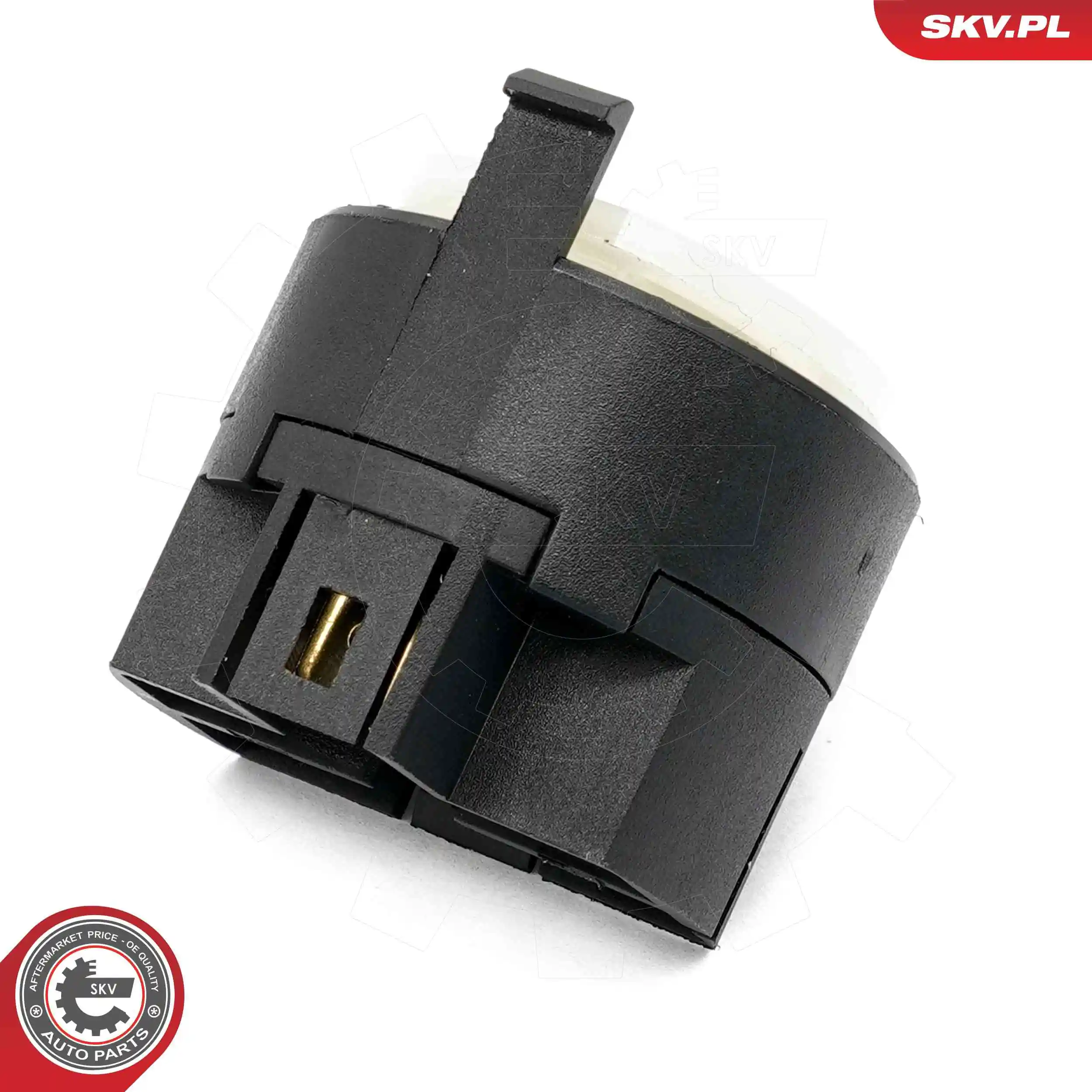 ESEN SKV 65SKV013 Ignition Switch