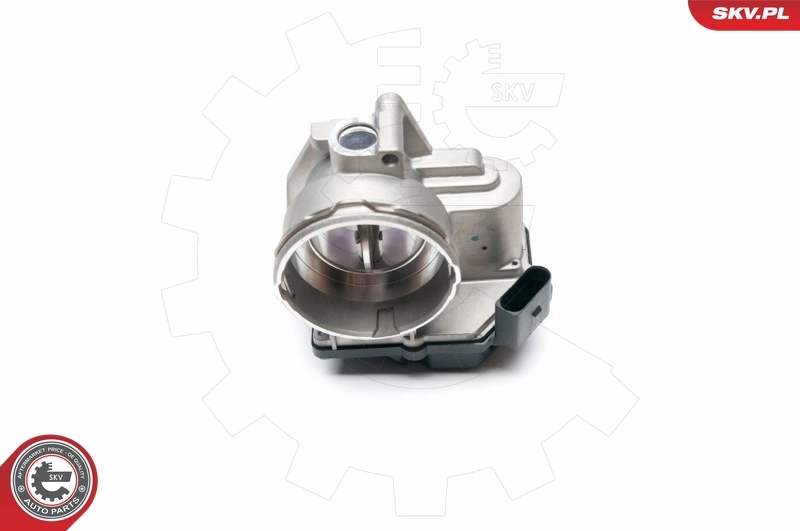 Throttle Body 12SKV044