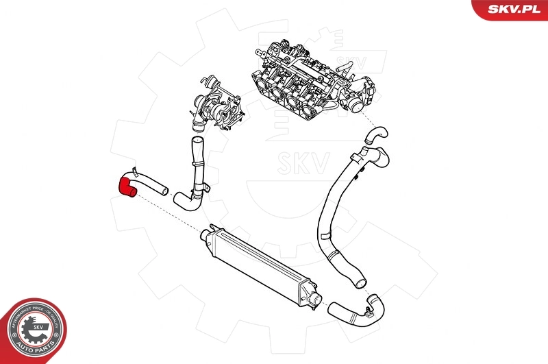 Charge Air Hose 43SKV028