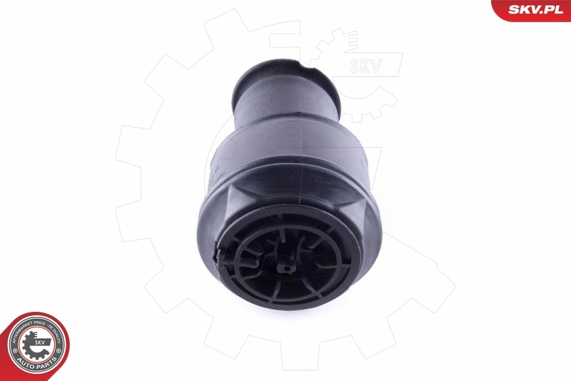 Air Spring, suspension 58SKV023