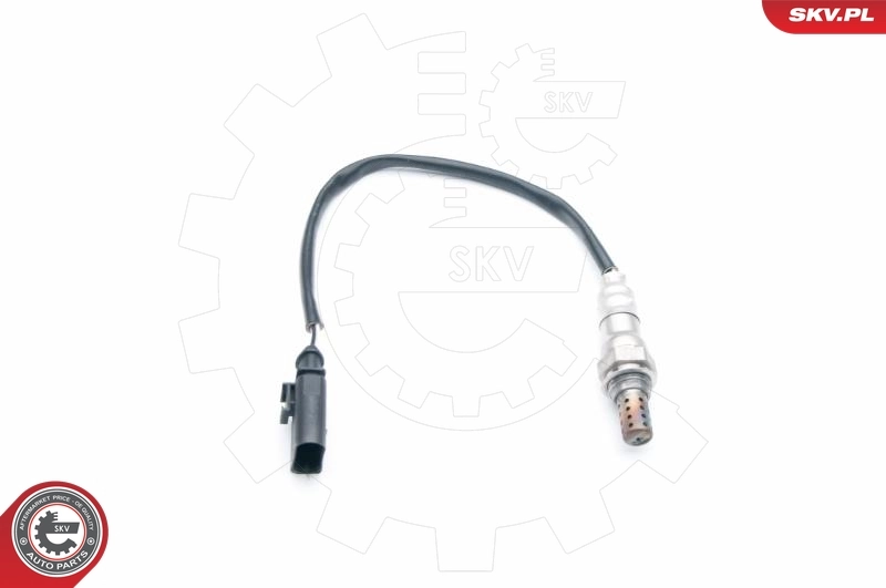 Oxygen Sensor 09SKV697