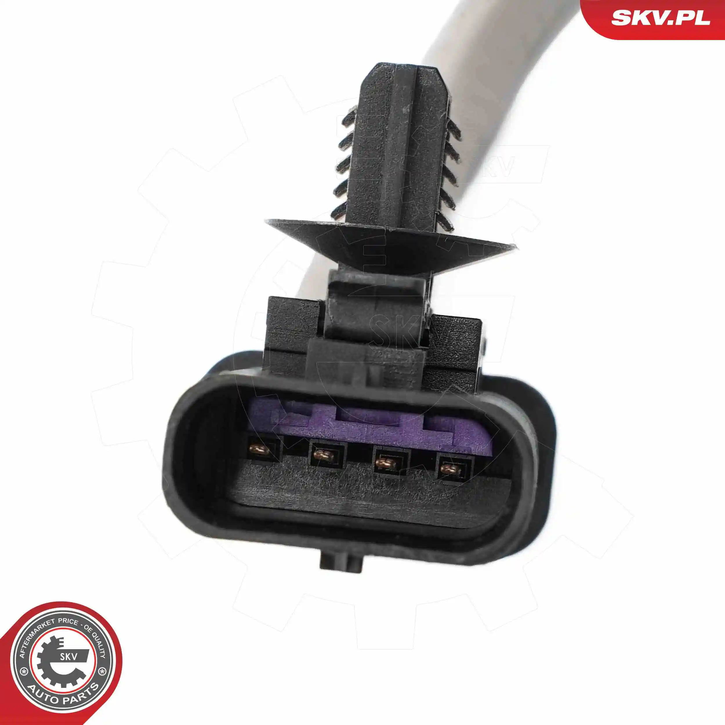 Oxygen Sensor 09SKV191