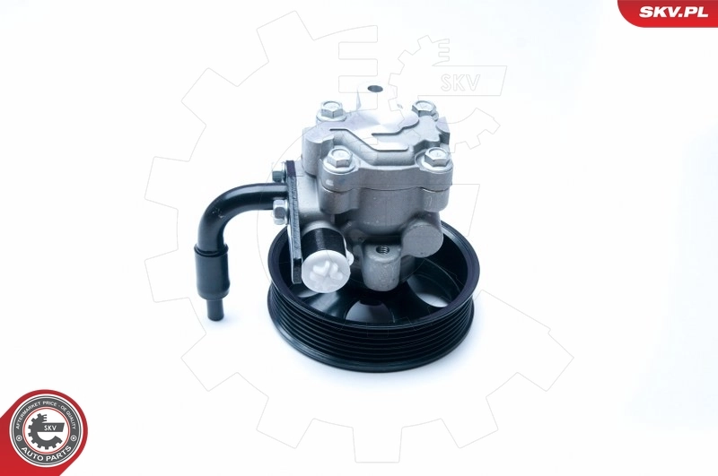 Hydraulic Pump, steering 10SKV201