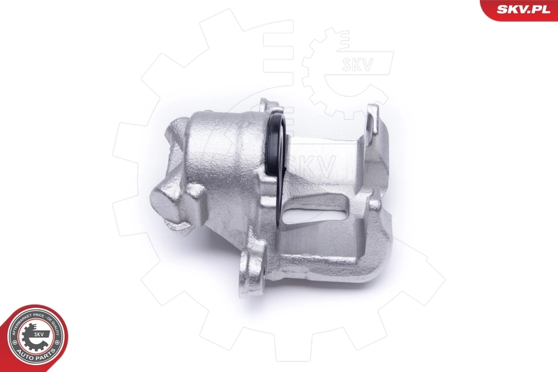 Brake Caliper 50SKV541