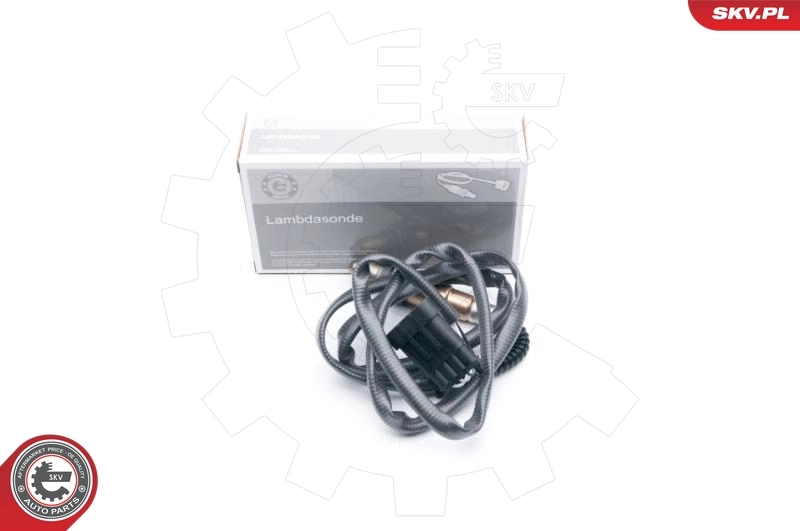 Oxygen Sensor 09SKV617