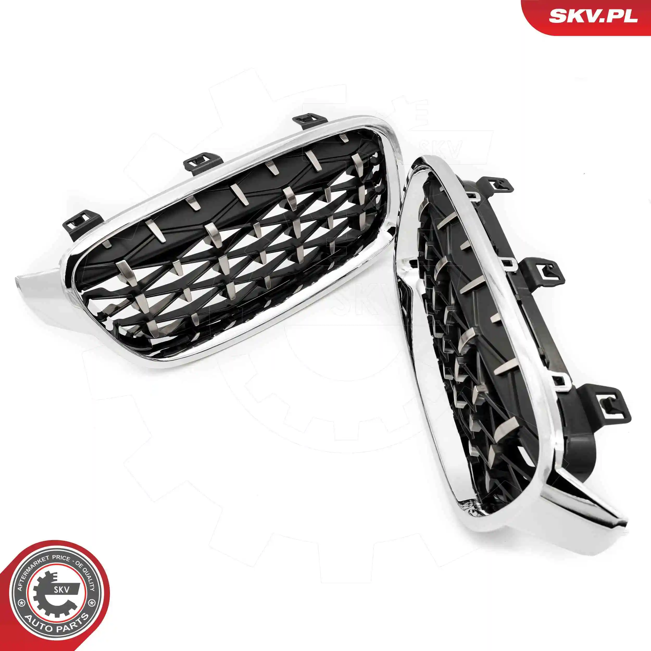 Radiator Grille 66SKV130