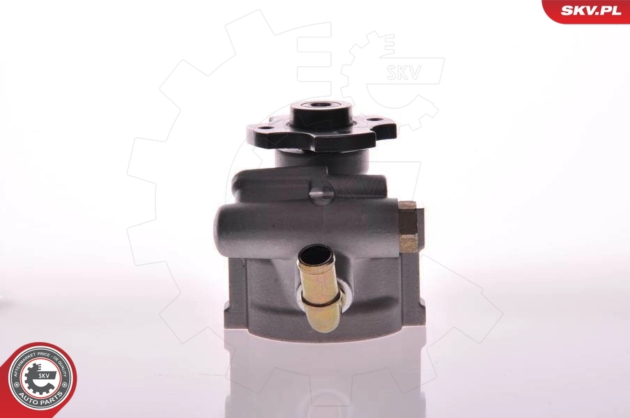 Hydraulic Pump, steering 10SKV133