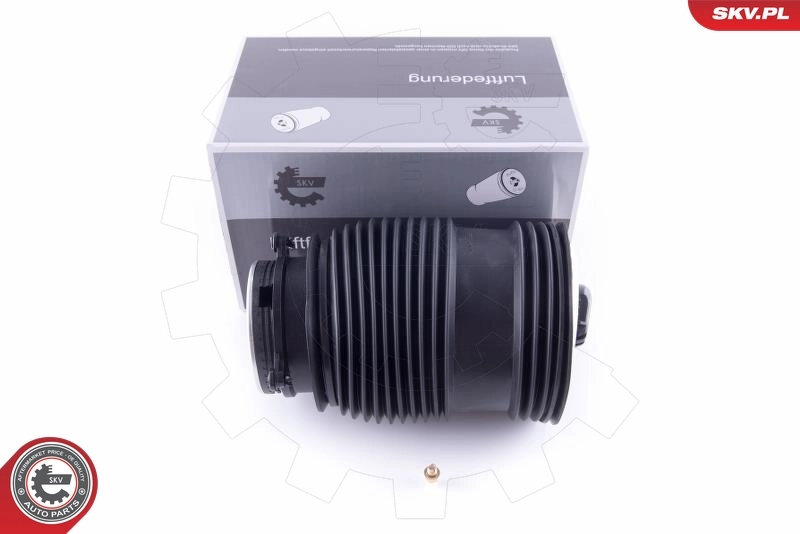 Air Spring, suspension 58SKV007