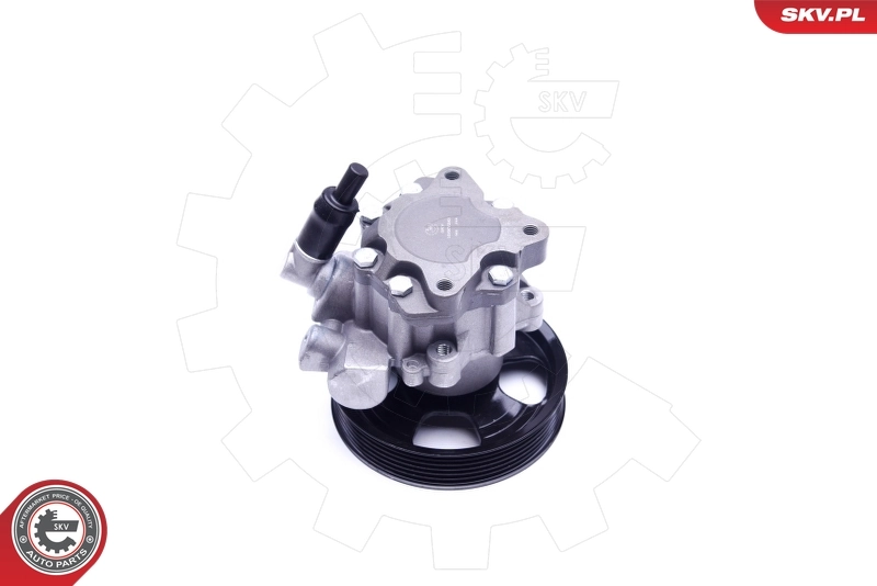 Hydraulic Pump, steering 10SKV241