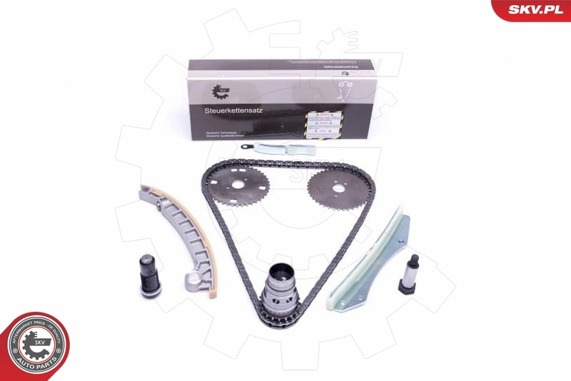 Timing Chain Kit 21SKV141