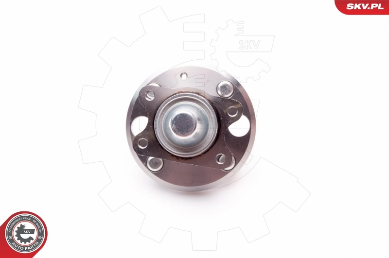 Wheel Bearing Kit 29SKV111