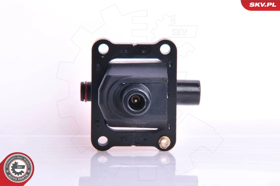 Ignition Coil 03SKV017