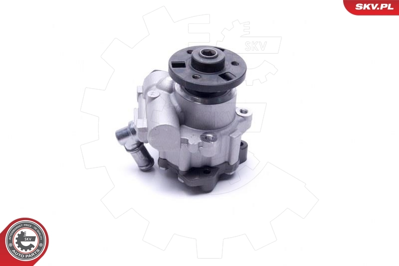 Hydraulic Pump, steering 10SKV312