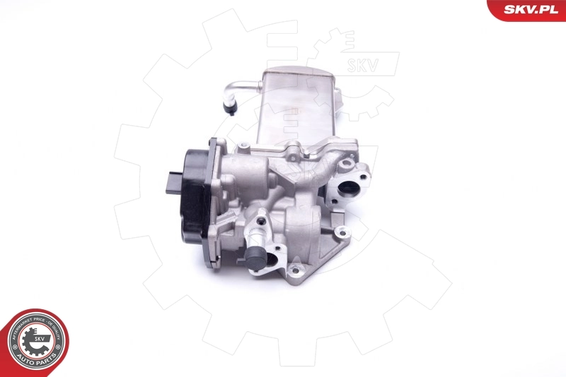 EGR Valve 14SKV151