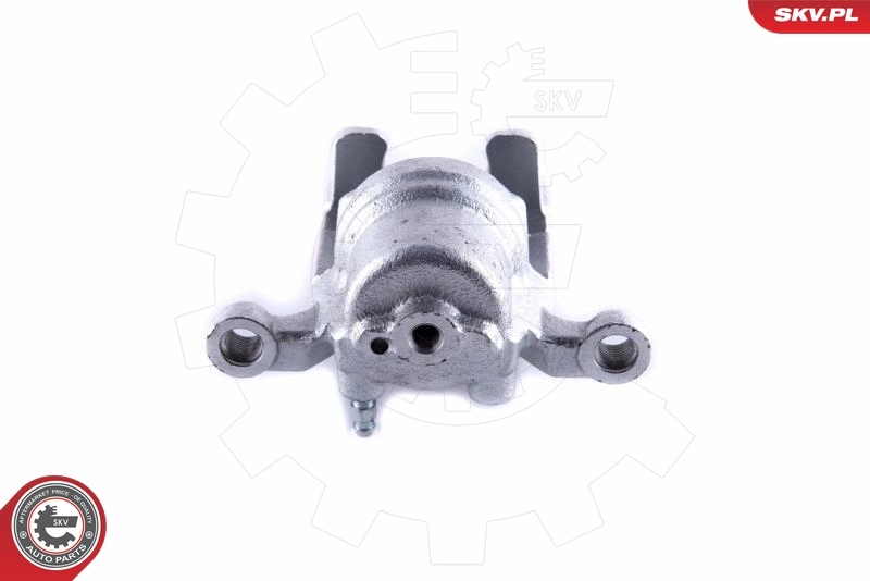 Brake Caliper 55SKV024