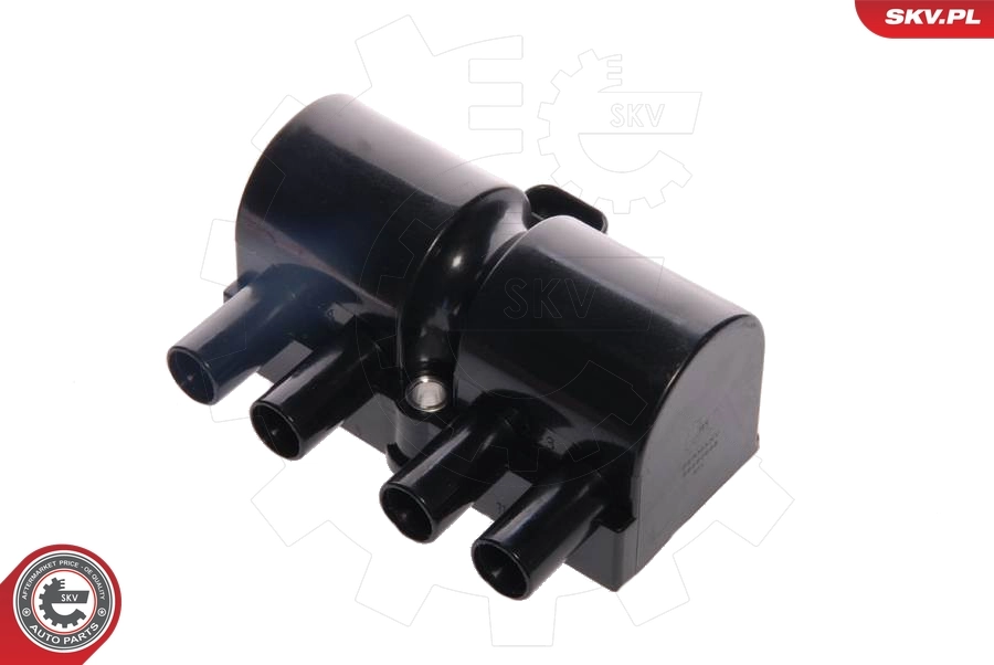 Ignition Coil 03SKV018
