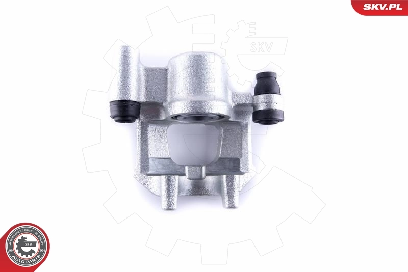 Brake Caliper 55SKV313