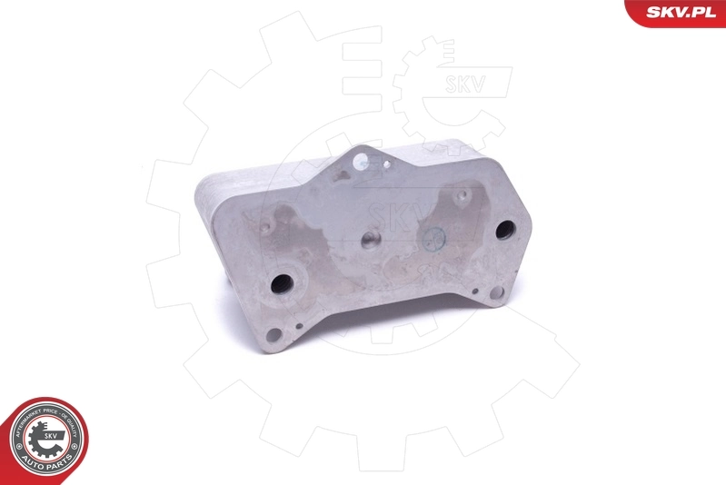 Oil Cooler, engine oil 31SKV207