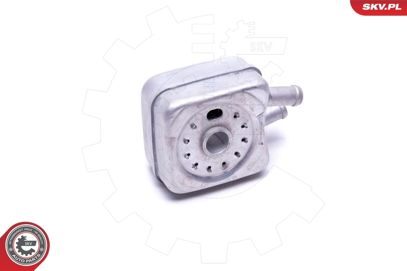 Oil Cooler, engine oil 31SKV202