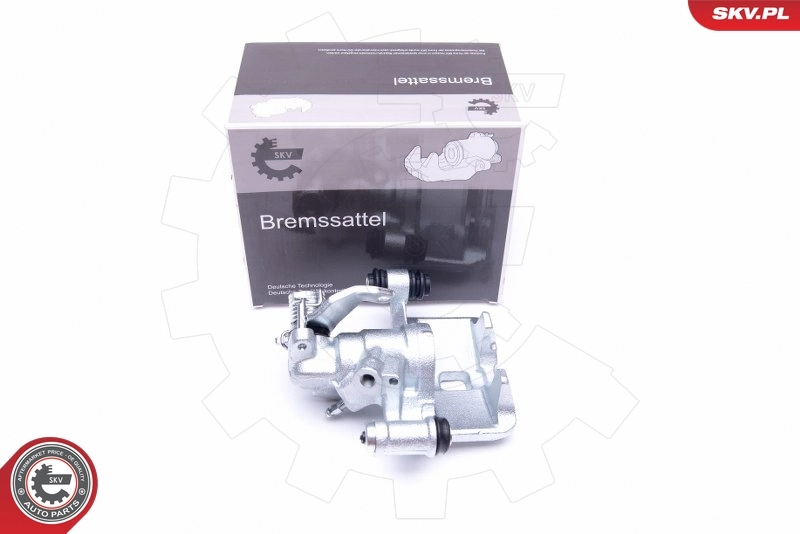 Brake Caliper 42SKV813