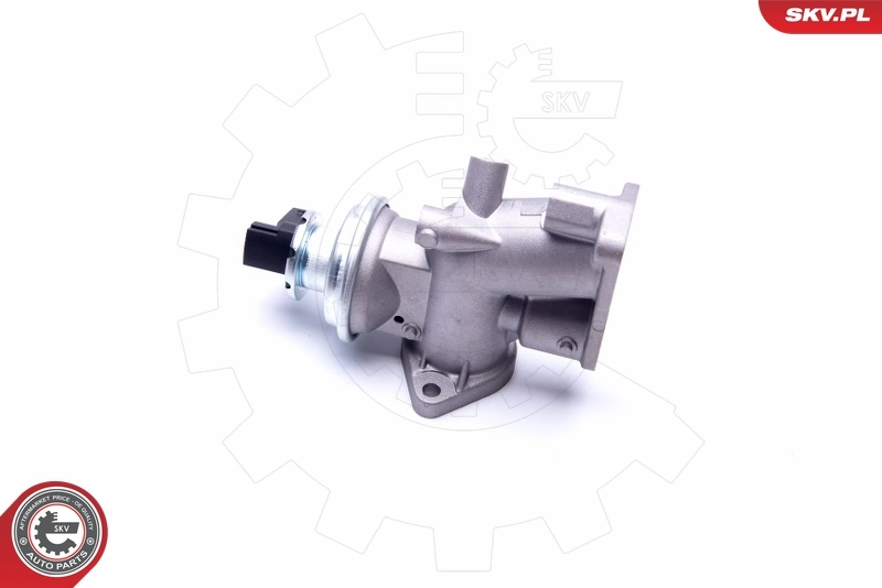 EGR Valve 14SKV181