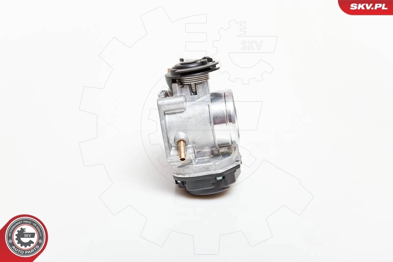 Throttle Body 12SKV026
