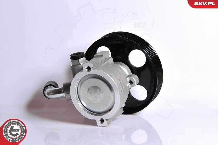 Hydraulic Pump, steering 10SKV163