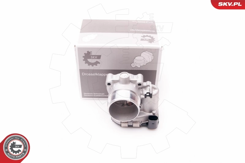 Throttle Body 12SKV068